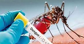 Bar en alerta por elevada infestacin de dengue