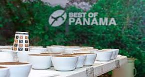 En Mayo se llevará a cabo el Best of Panamá BOP en su XXVII versión