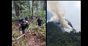 Continúan labores de extinción del incendio de masa vegetal en Cerro Punta