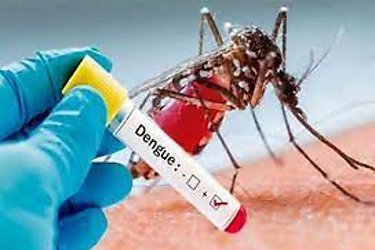 MINSA inform que en Panam est circulando un nuevo serotipo de dengue