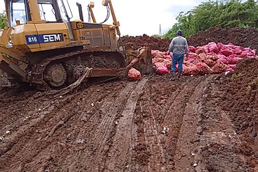 Mil sacos de cebolla producto de supuesto contrabando fueron destruidos ayer en Coln