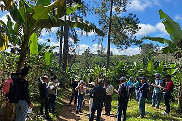 Panamá y Costa Rica intercambian experiencias sobre producción de café y cacao