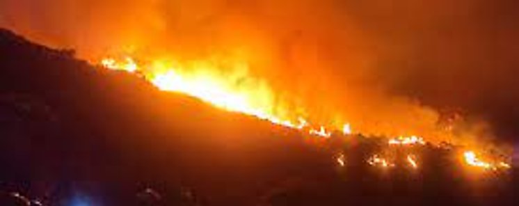 MiAmbiente pide evitar incendios forestales en Chiriquí