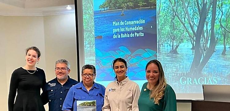 Lanzan plan de conservación para los humedales de la bahía de Parita