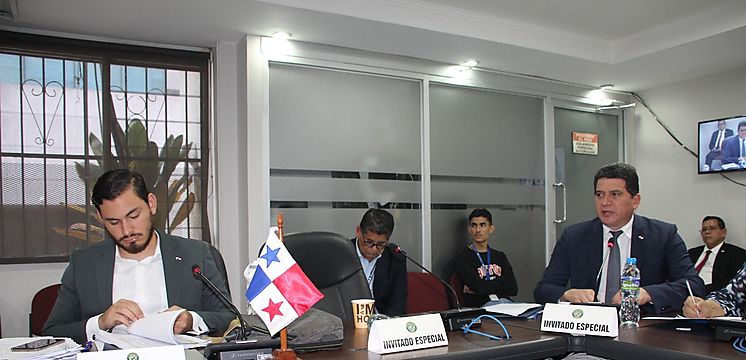 Comisin de Presupuesto AN aprob B 48 millones para pagos personal transitorio Cuarentena Agropecuaria